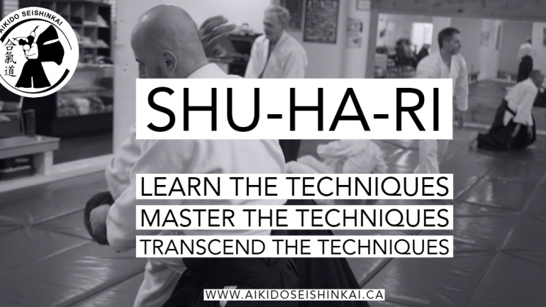 Shu-Ha-Ri : Beginner to Expert
