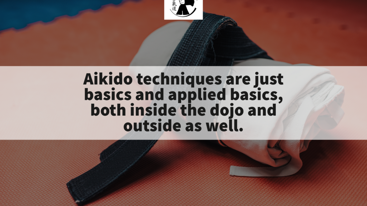 Aikido techniques are just basics