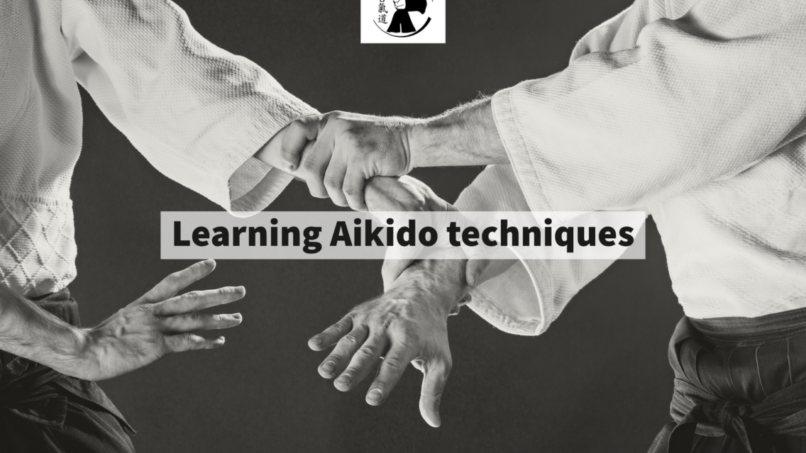 Learning Aikido techniques